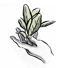 ilustracao-investimento-mao