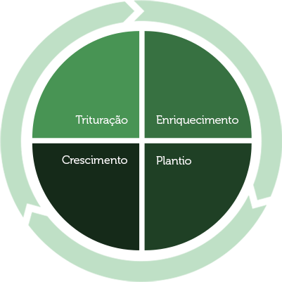 ymbu_agroflorestal-ciclo_sustentavel_producao ymbu_agroflorestal-ciclo_sustentavel_producao