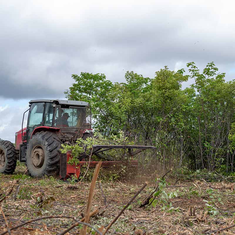 ymbu_agroflorestal-tecnologia-foto-01-9304-thumb