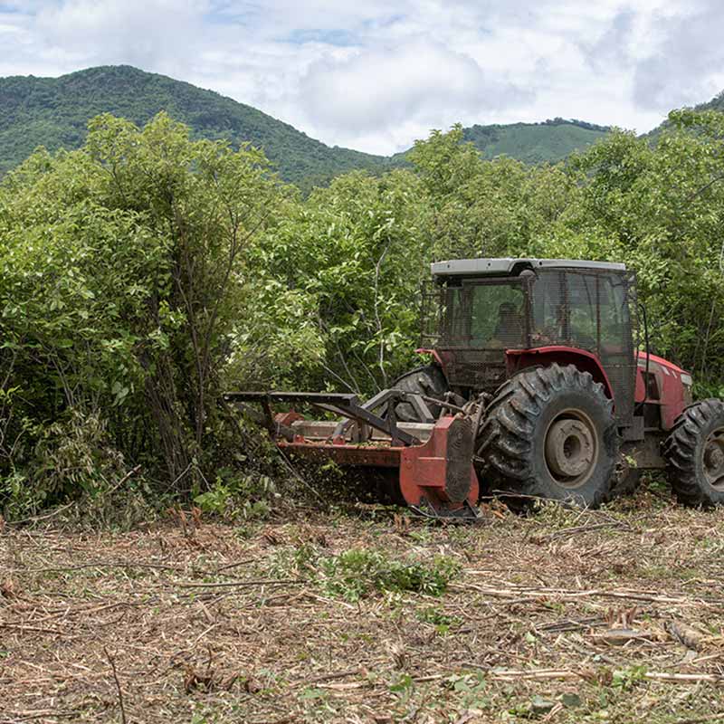 ymbu_agroflorestal-tecnologia-foto-05-8700-thumb