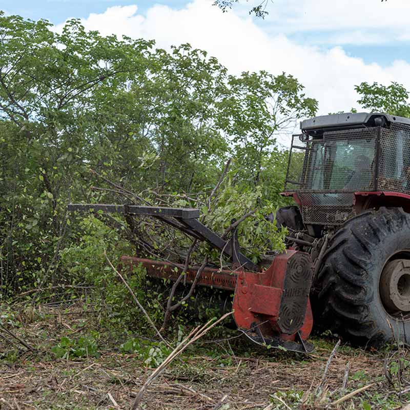 ymbu_agroflorestal-tecnologia-foto-11-9290-thumb